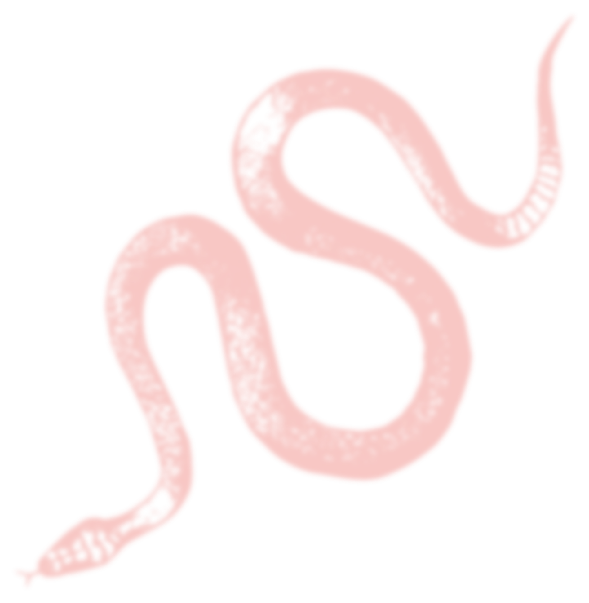 Red snake decoration